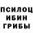 Псилоцибиновые грибы Psilocybe Kelley Lynch