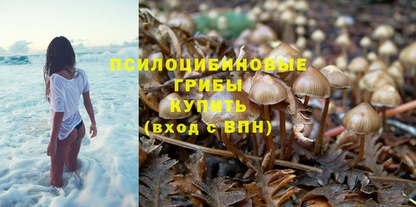 бошки Алексеевка