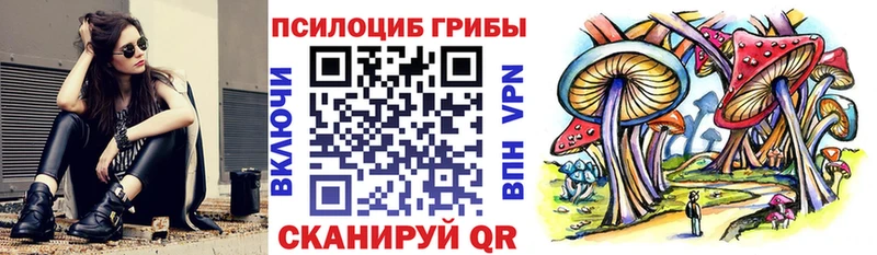 купить закладку  ссылка на мегу как зайти  Галлюциногенные грибы Psilocybine cubensis  Невьянск 